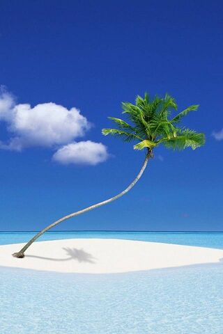 Bluee Paradise: A Tropical Escape 🌴💙