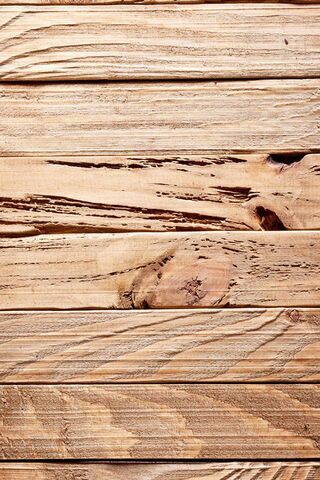 Nature's Canvas: The Beauty of Wood 🌳✨