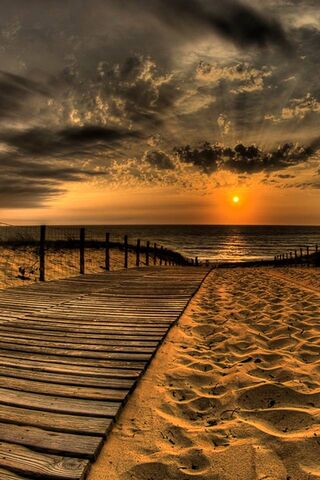 Golden Horizon: A Serene Sunset Escape 🌅✨