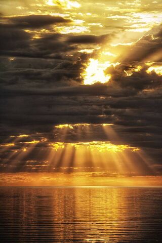 Golden Horizon: Embracing the Sun's Embrace ☀️🌅