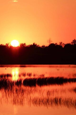 Sunset Serenity Over Dutch Waters 🌅