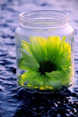 Embracing Change 🌼✨