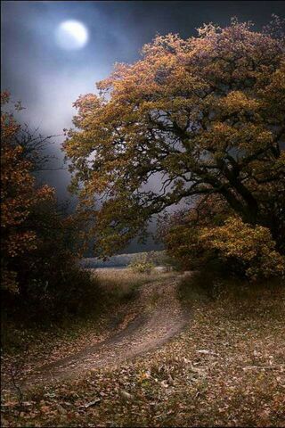 Whispers of Autumn's Em..