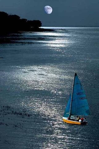 Moonlit Serenity: A Journey Across Paradise Sea 🌊🌙