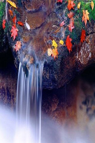Tranquil Cascade of Autumn Colors 🍂💦