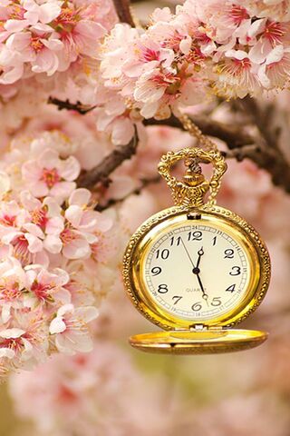 Ticking Towards Sunshine: A Summer Countdown 🌸⏰