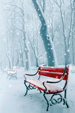 Winter Wonderland: A Serene Escape ❄️🌨️