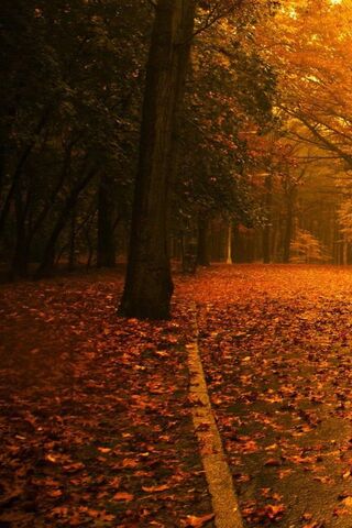 Autumn's Embrace 🍂✨