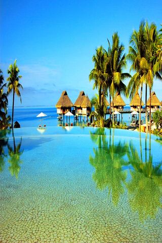 Tropical Bliss Awaits 🌴✨