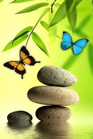 Tranquil Oasis: Nature's Serenity 🌿🦋