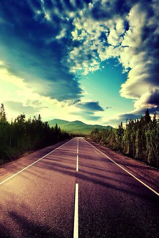 Journey Through Nature's Canvas 🌳🛣️