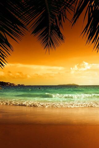 Sunset Serenity at Tropical Beach 🌅🏖️