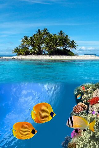 Paradise Awaits: A Tropical Escape 🌴🌊