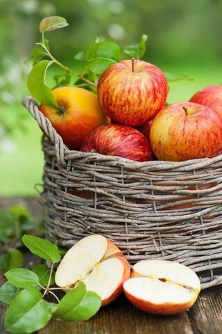 Harvest Delight: A Basket of Spring's Best