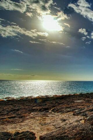 Serenity by the Shore 🌊☀️