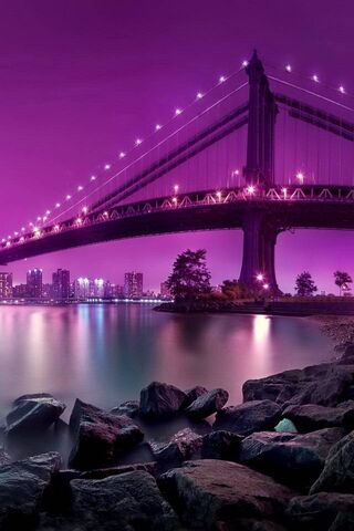 Twilight Glow: The Broo..
