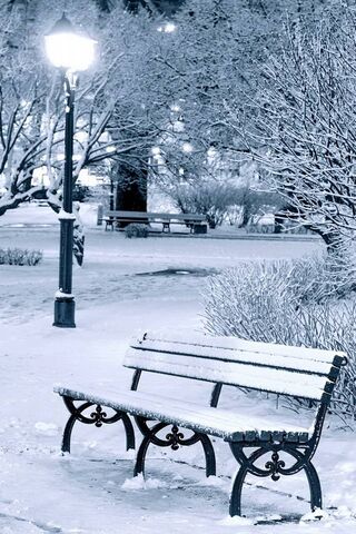 Winter Wonderland in Winter Park ❄️🌨️