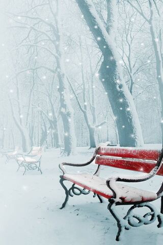 Winter Wonderland: A Se..