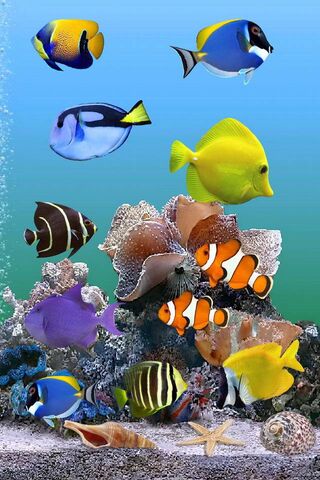 Underwater Wonderland: A Vibrant Marine Oasis 🌊🐠