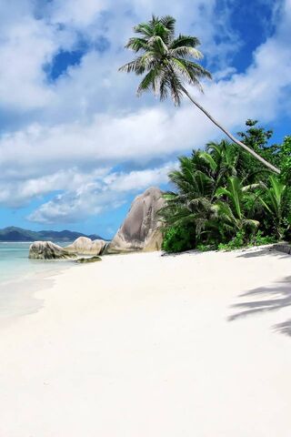Paradise Awaits: A Tropical Escape 🌴🌊