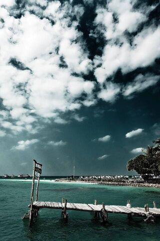 Serenity at Island's Edge 🌊🌴