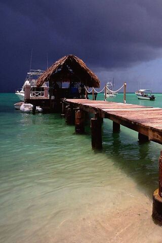 Tropical Escape: Serenity Before the Storm 🌴⛈️