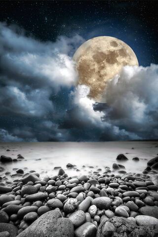 Whispers of the Moonlit Shore 🌕🌊