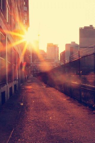 Sunset Serenity on the City Railway 🌇🚉