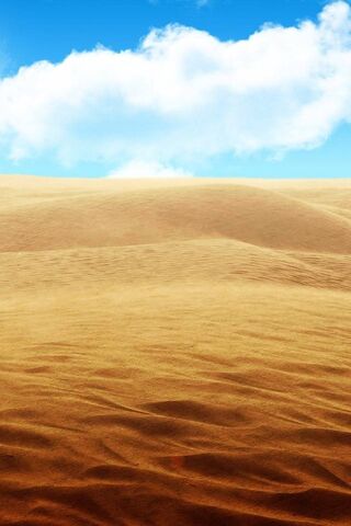 Endless Sands: A Desert Dreamscape 🌵☀️