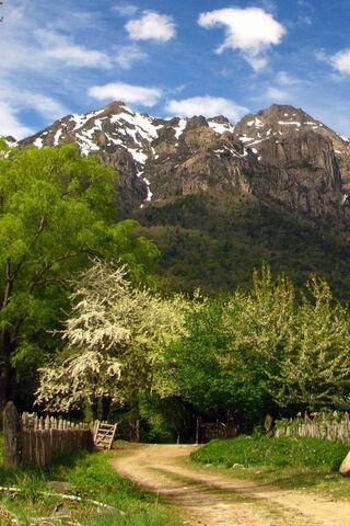 Nature's Majesty: A Journey Through National Park 🌲🏔️