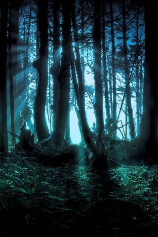 Enchanted Twilight Grove 🌌🌲