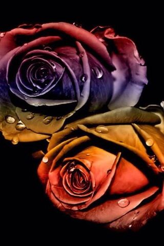 Eternal Elegance: The A..