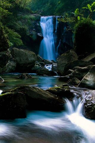 Nature's Cascade: A Ser..
