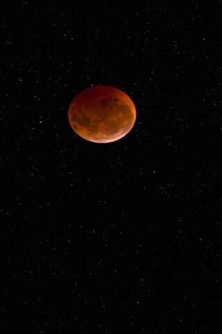 Celestial Glow: The Eni..