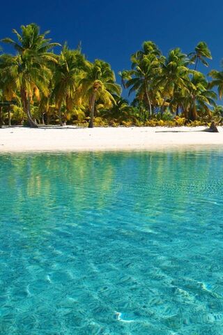 Tropical Bliss: A Slice of Paradise 🌴🌊