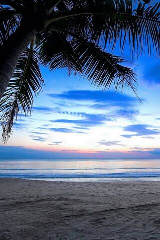 Awakening Bliss: A Trop..
