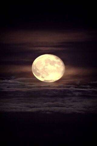 Lunar Glow: A Night of Enchantment 🌕✨