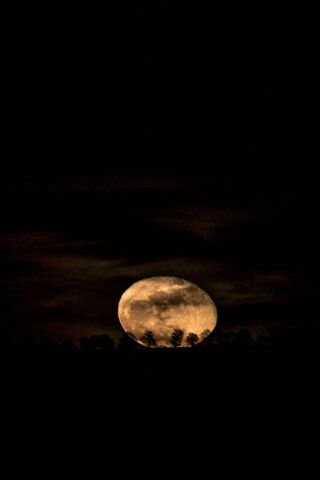 Lunar Glow: A Nighttime Serenade 🌕✨