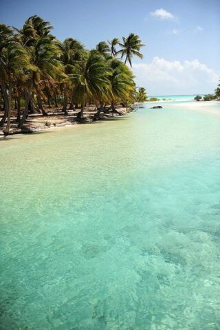 Romantic Landscape