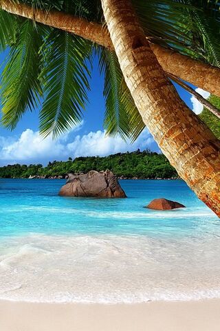 Serene Shores of Bliss 🌴🌊