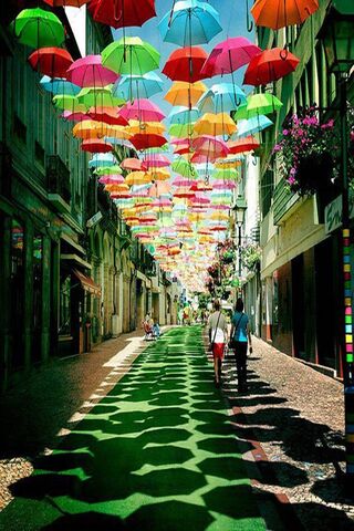 Umbrella Street