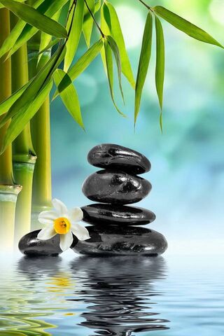 Tranquil Harmony: The Essence of Spa Zen