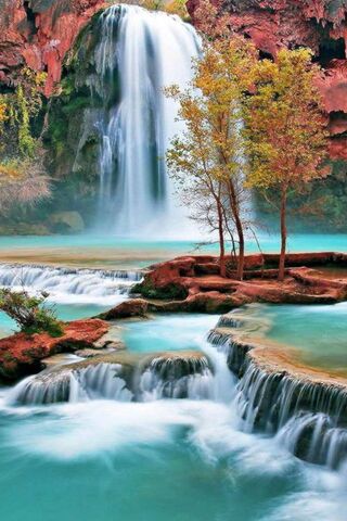 Nature's Cascade: A Ser..