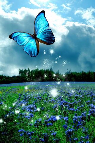 Radiant Wings: A Dance of Nature