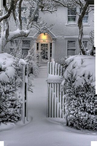 Winter Wonderland Awaits ❄️🏡