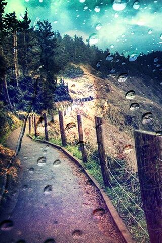 Serene Pathway Along Beach Road 🌊🌲