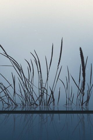 Whispers of the Wind: A Grassy Serenity 🌾✨