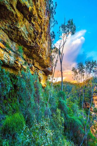 Serenity in the Wild 🌿🌅