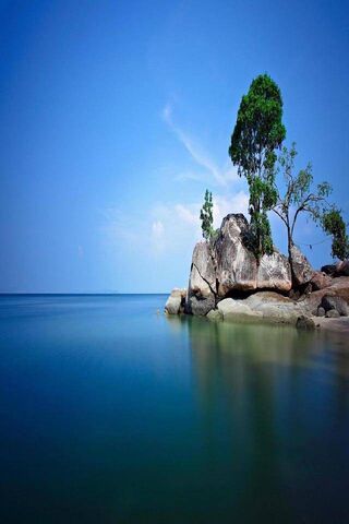 Tranquil Shores: A Serene Escape 🌊🌳