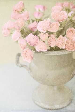 Blossoms of Serenity 🌸